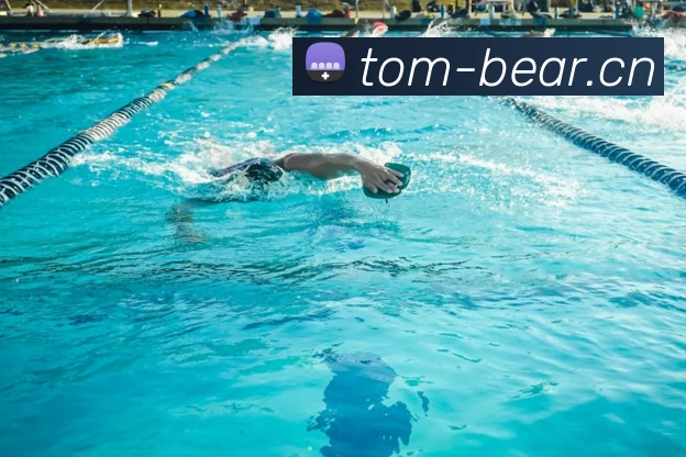 App Interface Preview