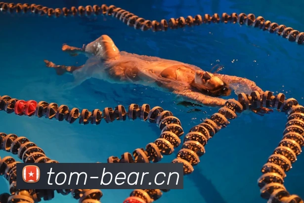 开云手机在线登陆入口APP 封面图